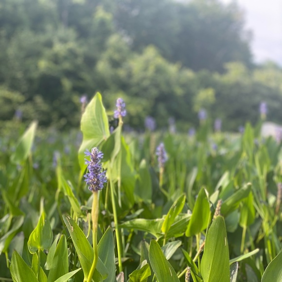 Meet your Posher, Kristin - Picture 4 of 5